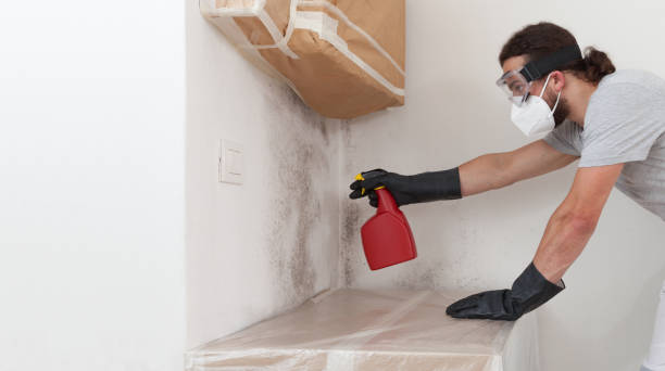 Professional Crawl Space Mold Removal technician working in Venice, IL