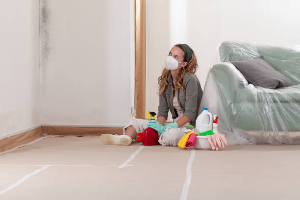 Reliable Crawl Space Mold Removal contractor in Venice, IL by WQB Mold Removal